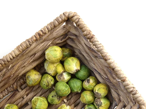 Brussels Sprout — Stock Photo, Image