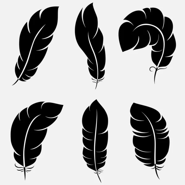 Feathers collection — Stock Vector