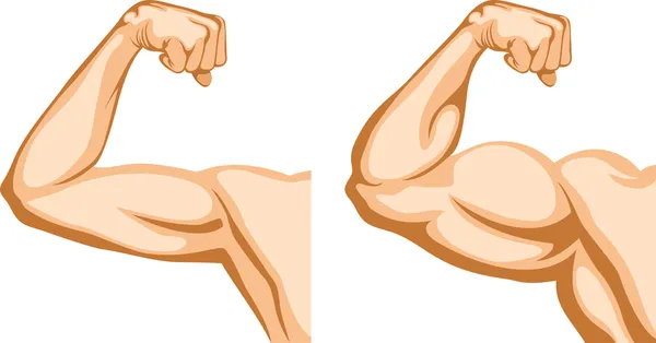 Mano antes y después de fitness — Archivo Imágenes Vectoriales