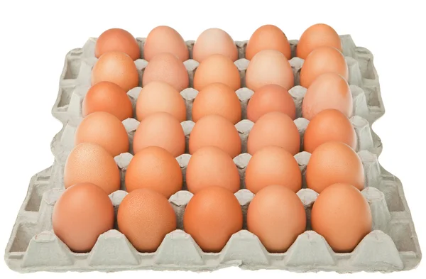 Ägg närbild — Stockfoto