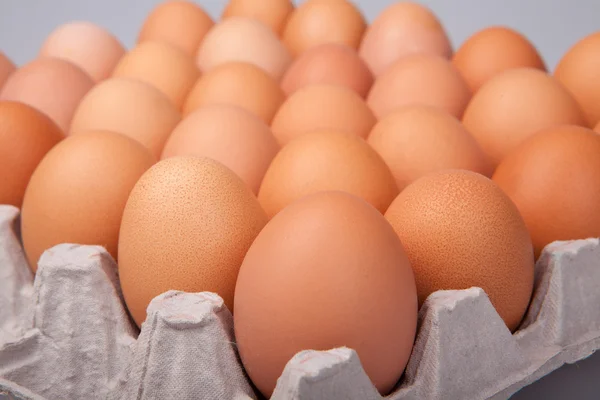 Egg closeup. — Stock Photo, Image