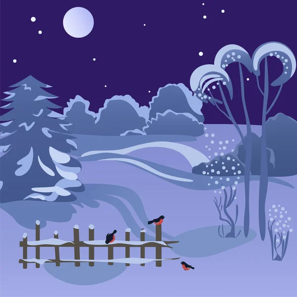Winternacht — Stockvektor