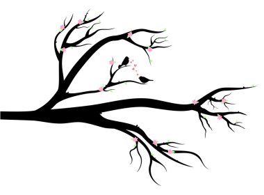 Birds in love on spring tree clipart