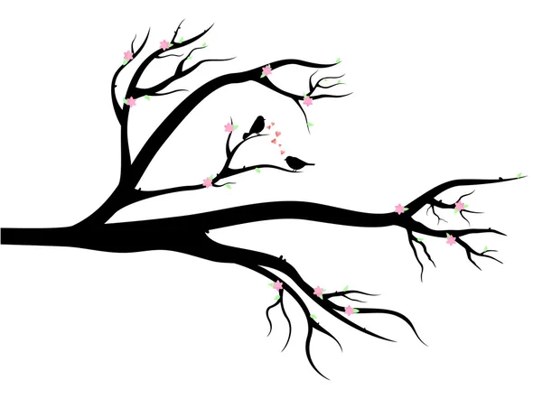 Pássaros apaixonados na árvore de primavera — Vetor de Stock