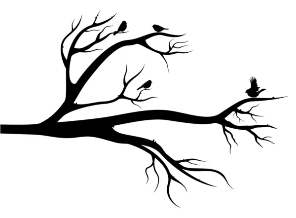 Ptáci na stromě — Stockový vektor