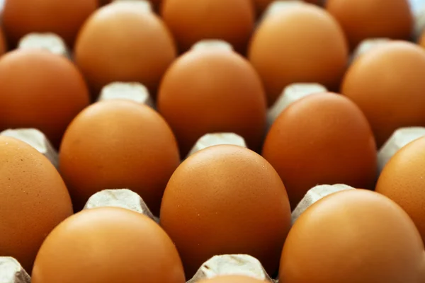 Eggs row — Stock Photo, Image