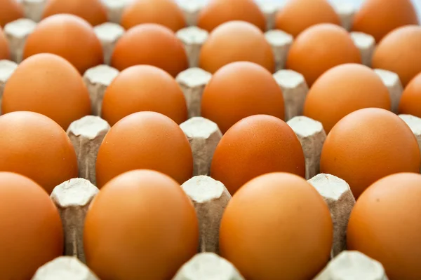 Eggs row — Stock Photo, Image
