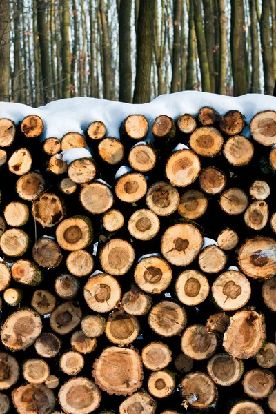 在冬天准备装运木材堆 — 图库照片