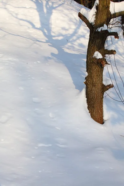 Fundo de sombras de neve — Fotografia de Stock