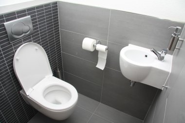 gri tonlarında tuvalet