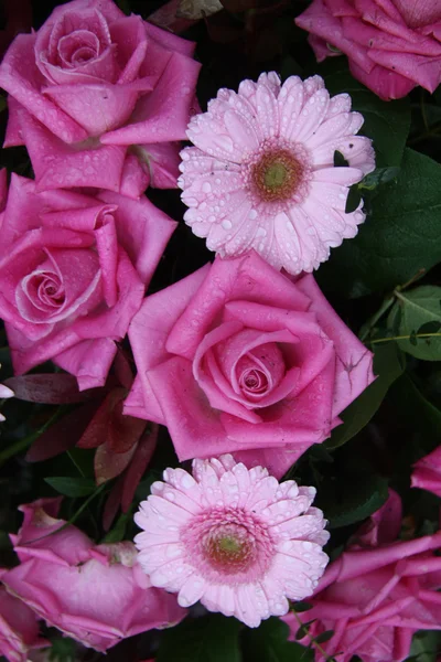 Wet pink flowers — Stock Photo, Image