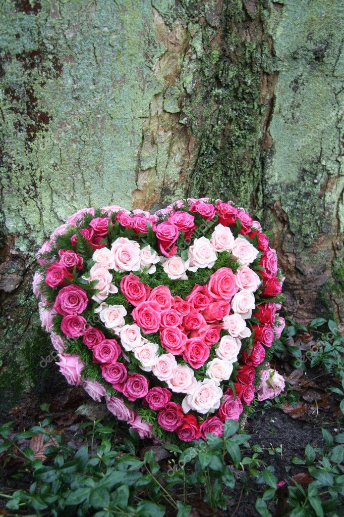 Heartshaped flower arrangement — Stock Photo © portosabbia #5134913