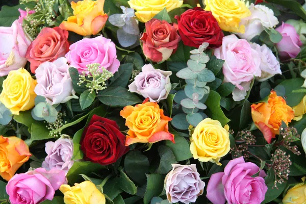 혼합된 장미 배열 — 스톡 사진