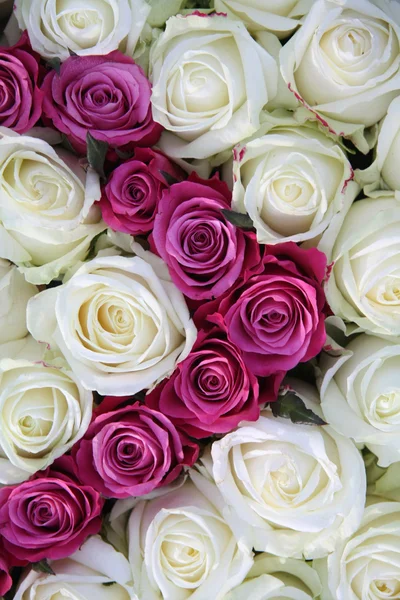 Rosas brancas e rosa — Fotografia de Stock