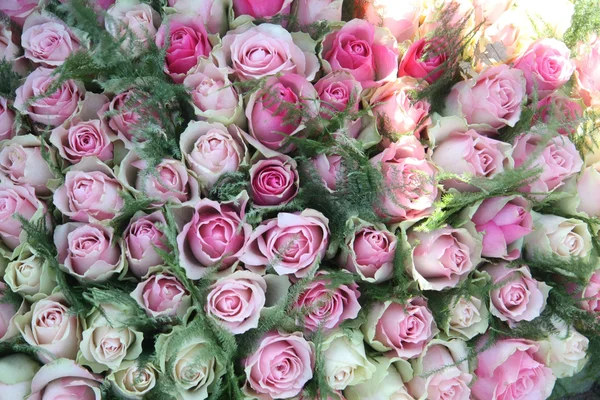 Rózsaszín rózsa elrendezése — Stock Fotó