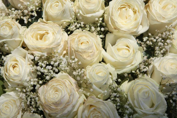 White roses and Gypsophila/Baby\'s Breath