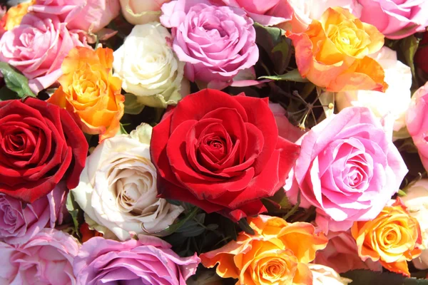 Rose arrangement — Stock Photo, Image