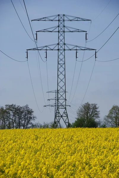 Electricity mast and yellow rape — Stock Photo, Image