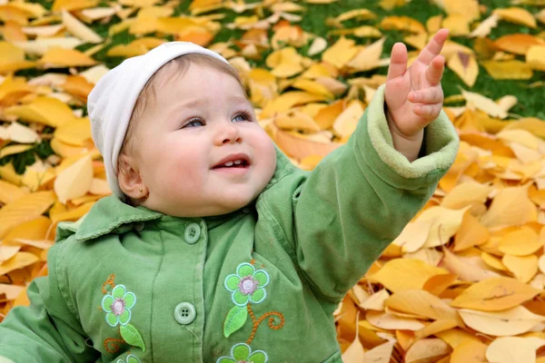 Bebé en un parque en otoño — Foto de Stock