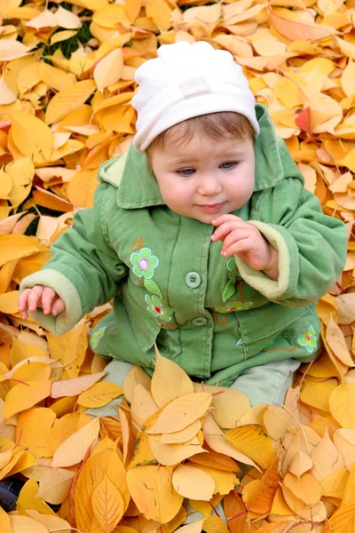 Bambino in un parco in autunno — Foto Stock