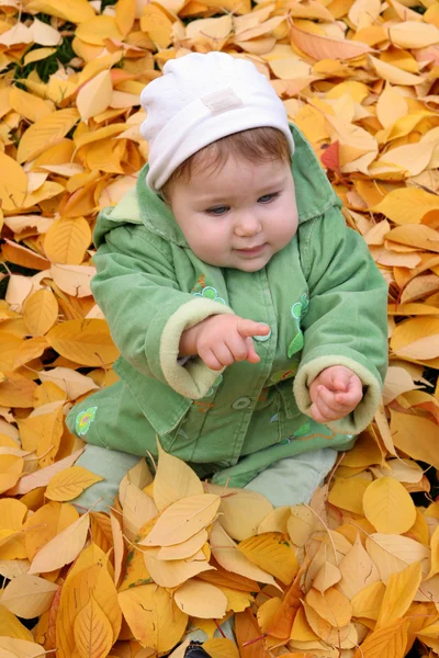 Bebeğe bir parkta bir sonbahar — Stok fotoğraf