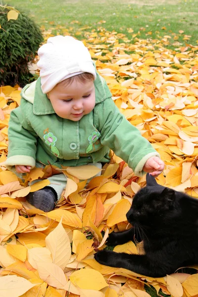Μωρό και γάτα σε ένα πάρκο φθινόπωρο — Φωτογραφία Αρχείου
