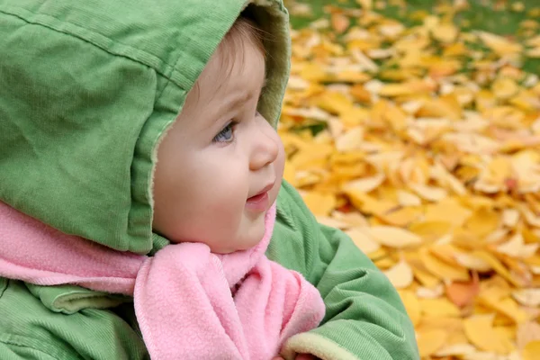 Bebé en un parque en otoño —  Fotos de Stock