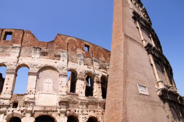 The Colosseum in Rome, Italy clipart