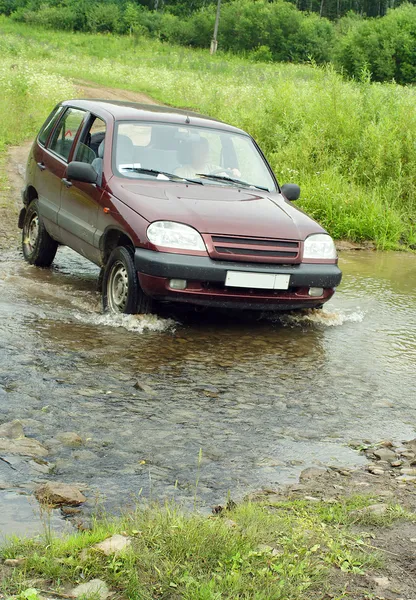 stock image Ford