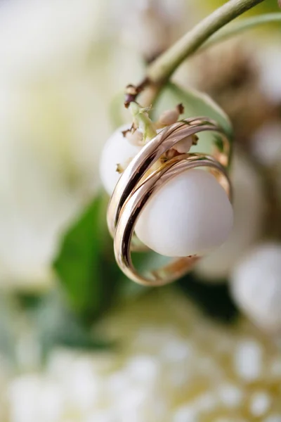 Anéis de casamento nas flores — Fotografia de Stock