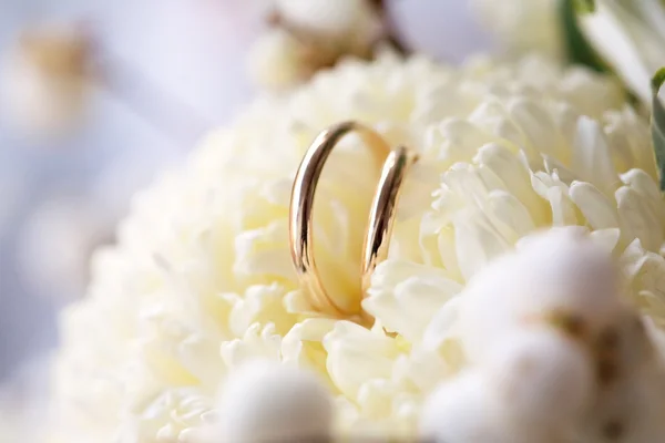 在花朵上的结婚戒指 — 图库照片