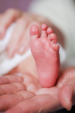 Adorable newborn baby feet