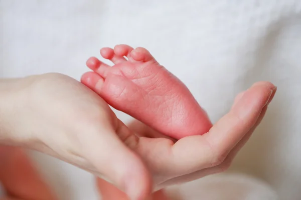 Adorabile neonato piedi — Foto Stock