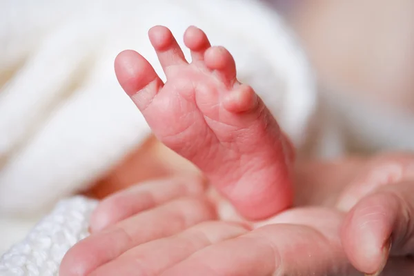 Adorável recém-nascido bebê pés — Fotografia de Stock