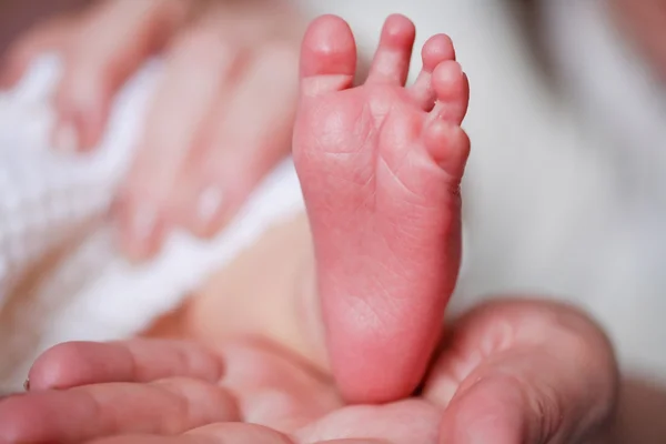 Adorable newborn baby feet — Stok fotoğraf