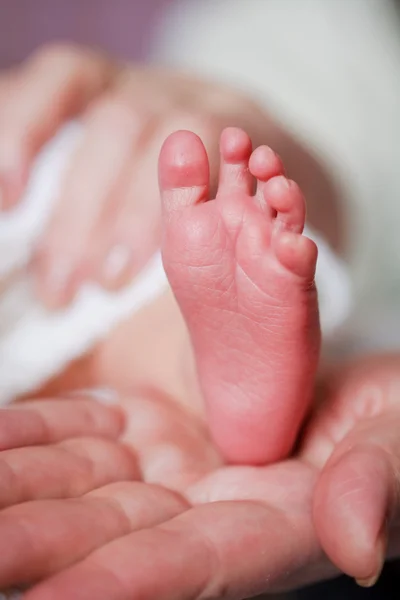 Rozkošný novorozeně nohy — Stock fotografie