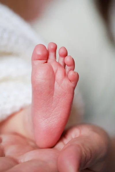 愛らしい生まれたばかりの赤ちゃんの足 — ストック写真