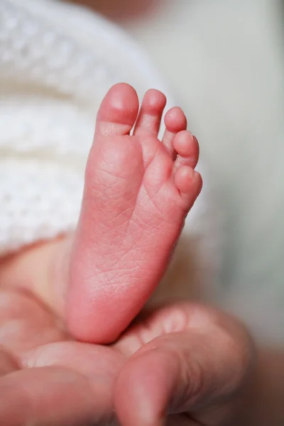 Adorable newborn baby feet — Stok fotoğraf