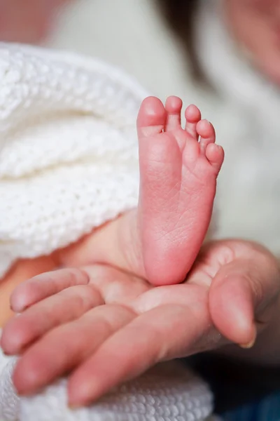 Adorable bebé recién nacido pies —  Fotos de Stock