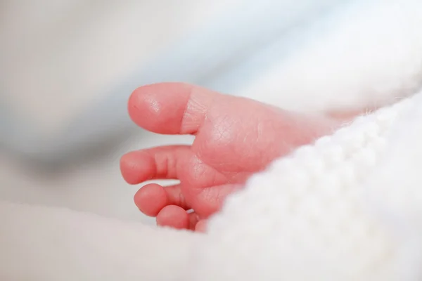 Adorable newborn baby feet — Stockfoto