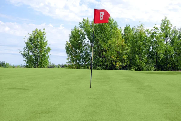 Golfe bandeira vermelha — Fotografia de Stock