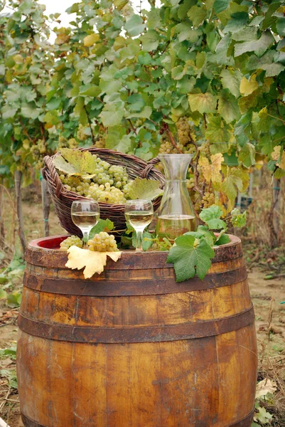 Viñedo y vino blanco —  Fotos de Stock