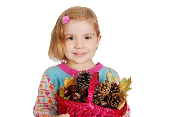 Kleines Mädchen hält Korb mit Kastanien und Tannenzapfen — Stockfoto