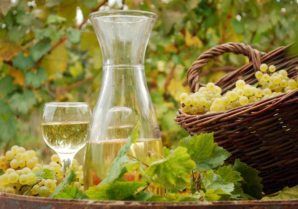 Λευκό κρασί και σταφύλι — Φωτογραφία Αρχείου