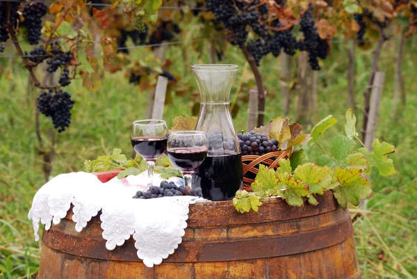 Scena autunnale con vino rosso e uva — Foto Stock