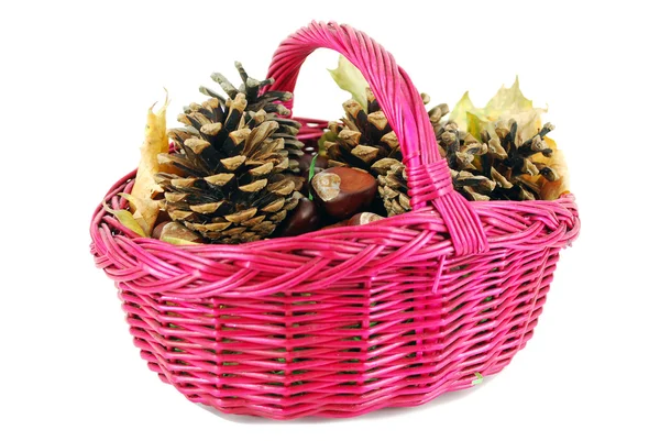 Basket with chestnut and pine-cone — Stock Photo, Image
