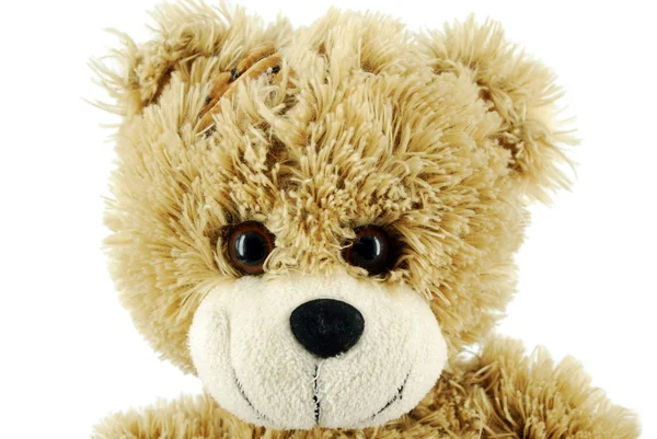 Teddybeer — Stockfoto