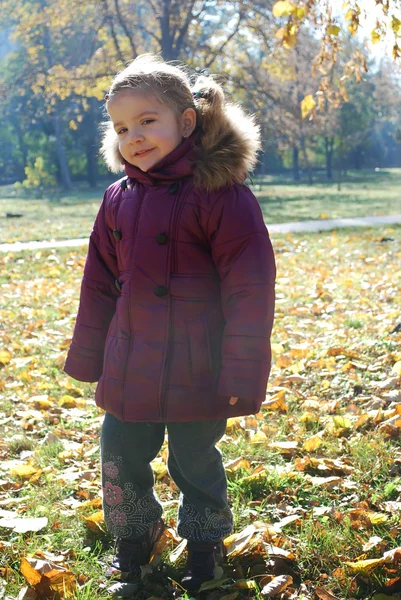 Mały dziewczyna pozuje w parku jesień — Zdjęcie stockowe