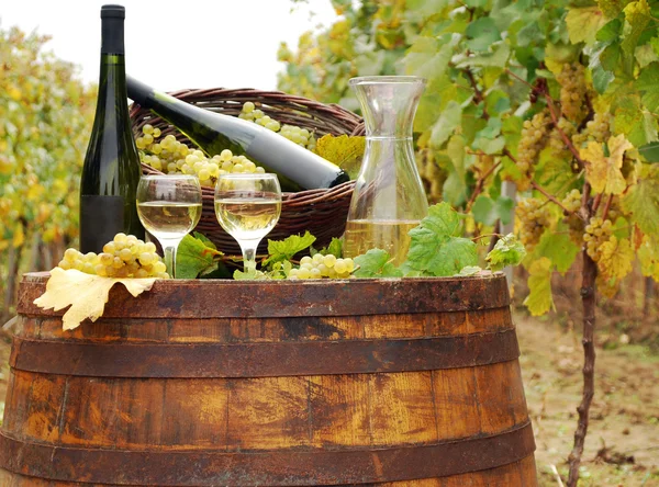 Vigneto con vino bianco e bottiglie — Foto Stock