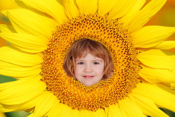 Sonnenblumenkind — Stockfoto